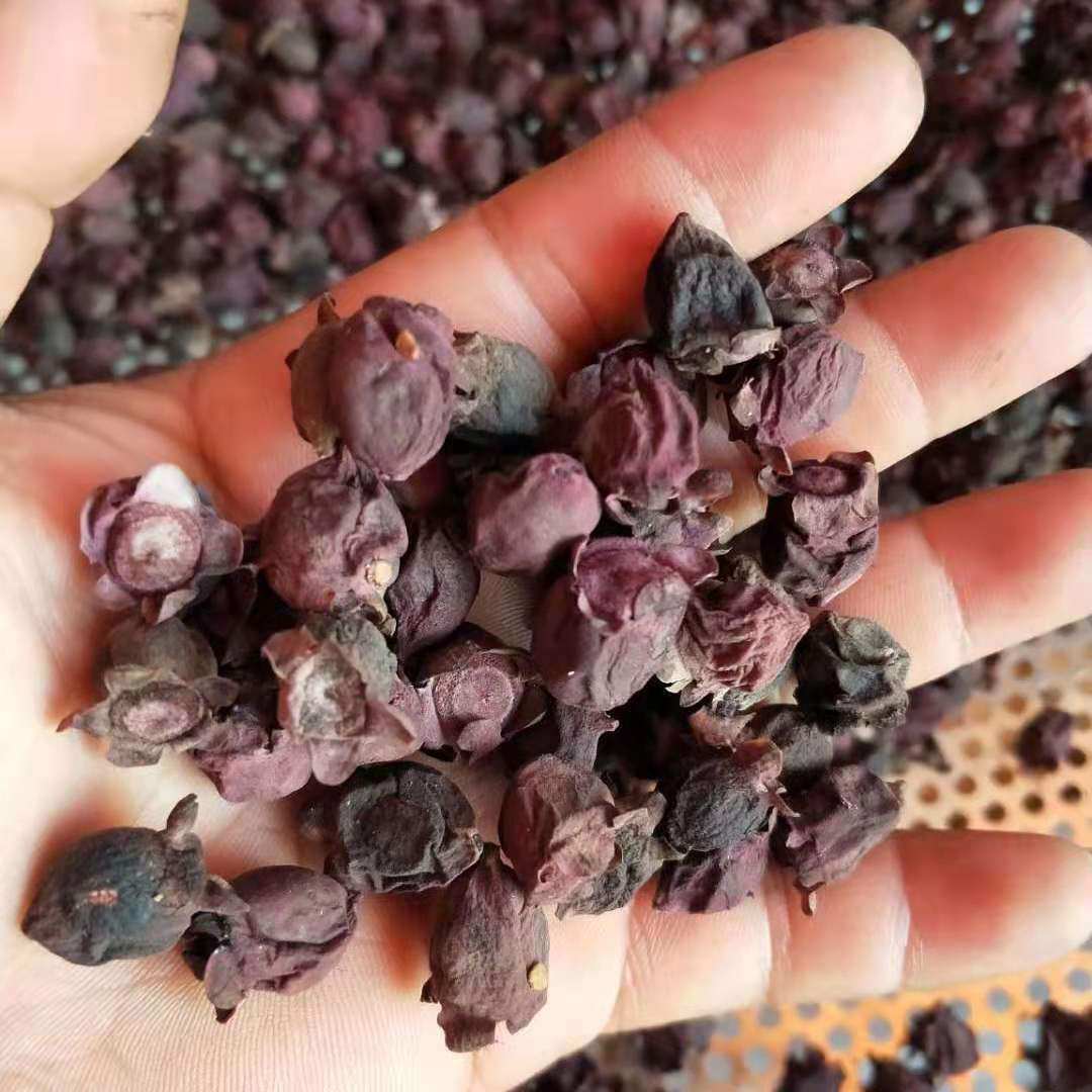 野生岗埝子山捻子干稔豆念山念子桃金娘泡酒佳捻子果品500克包邮