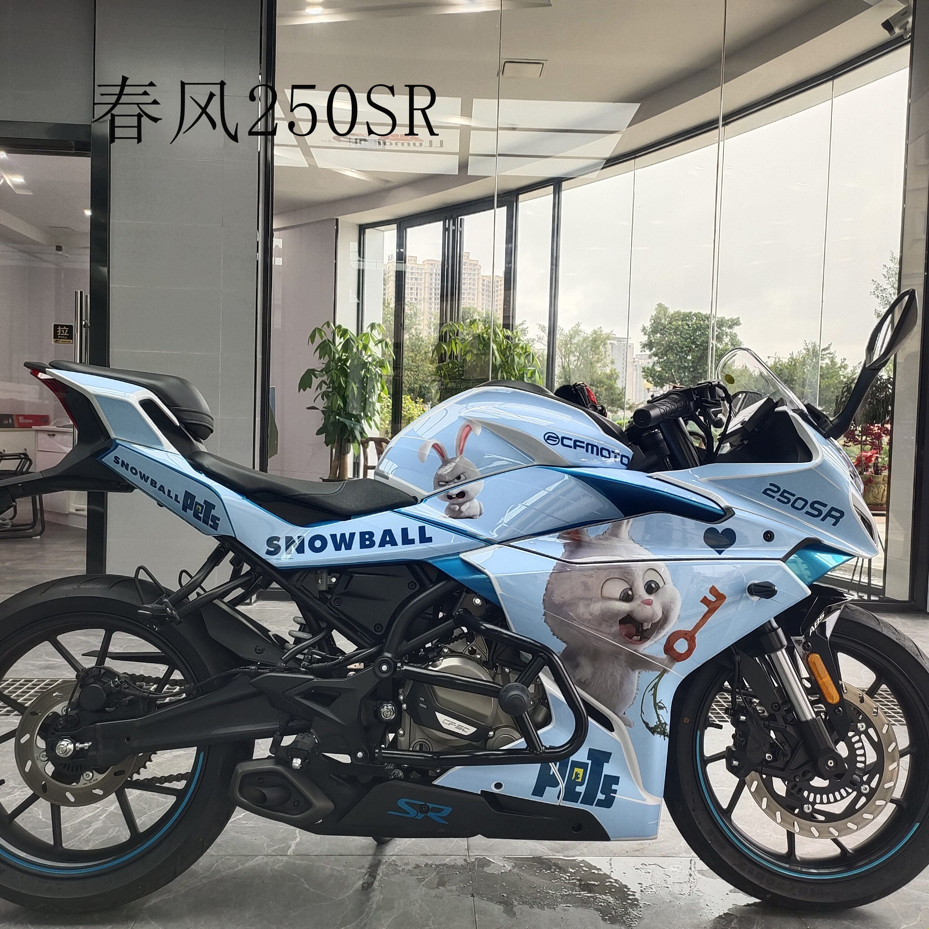 贴纸适用定制春风250sr车贴个性贴花版画改装贴纸