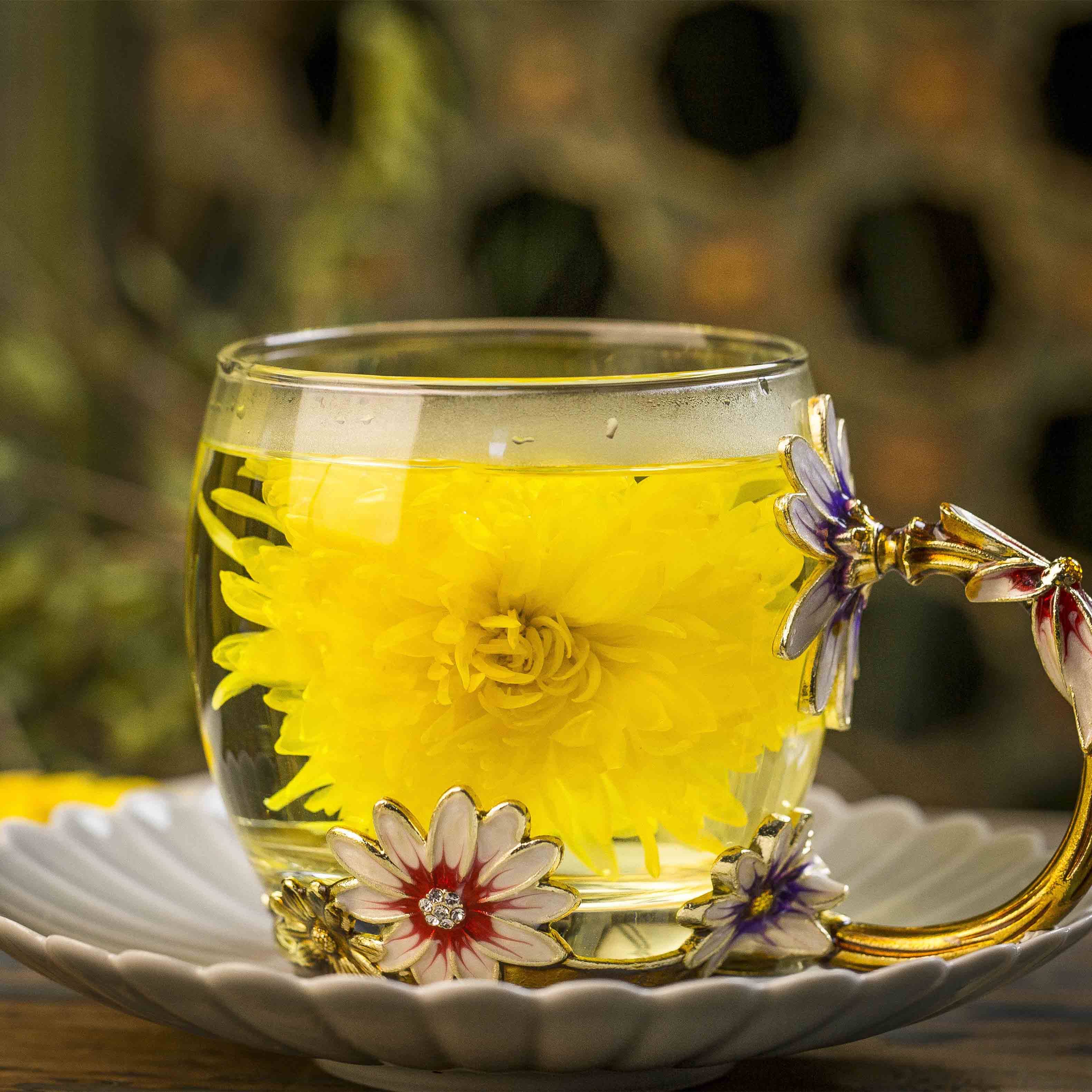 金丝皇菊一朵一杯大朵花茶江西特级贡菊婺源黄菊高品质去火菊花茶