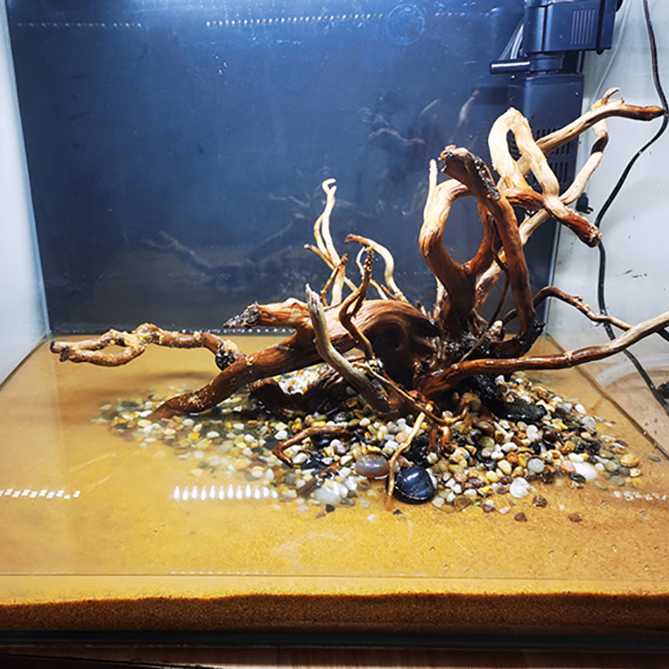 黄金沙鱼缸水草化妆细沙黄色河沙造景底砂狗头造景