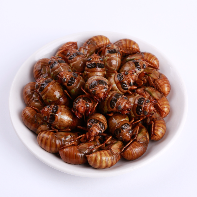 知了2022年新鲜金蝉唐僧肉蛹蝉爬生肉100只其它生肉制品