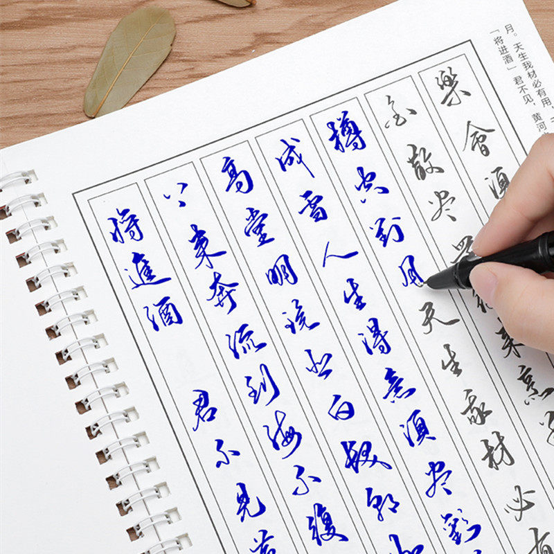 手写美工钢笔字帖行草练字本初学者入门学生成人行书速成硬笔书法