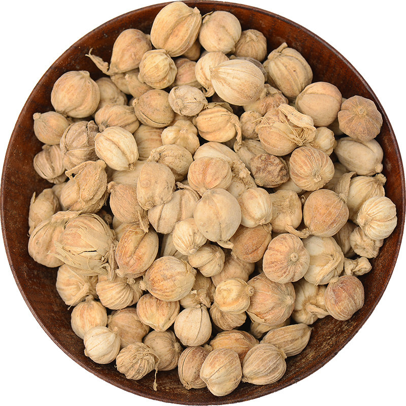 白蔻白豆扣粉白寇仁卤肉做菜烧烤火锅食用散装花椒