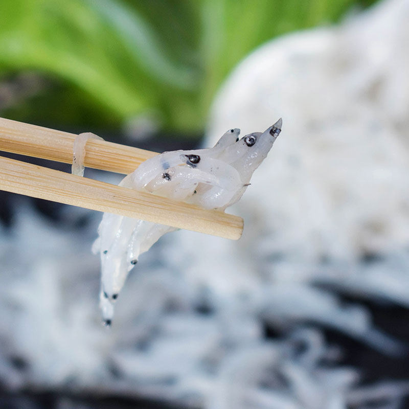 银鱼活冻面条鱼东山岛活冻银条鱼冰鱼无刺250g白饭鱼小银鱼丁香鱼