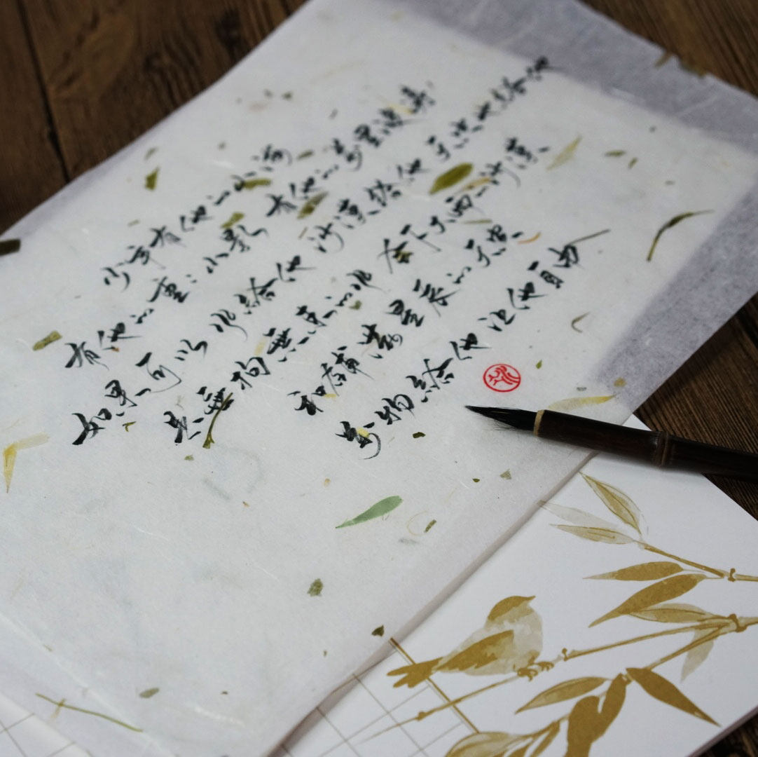 一起练字古风毛笔书法信纸宣纸天然植物信笺信纸