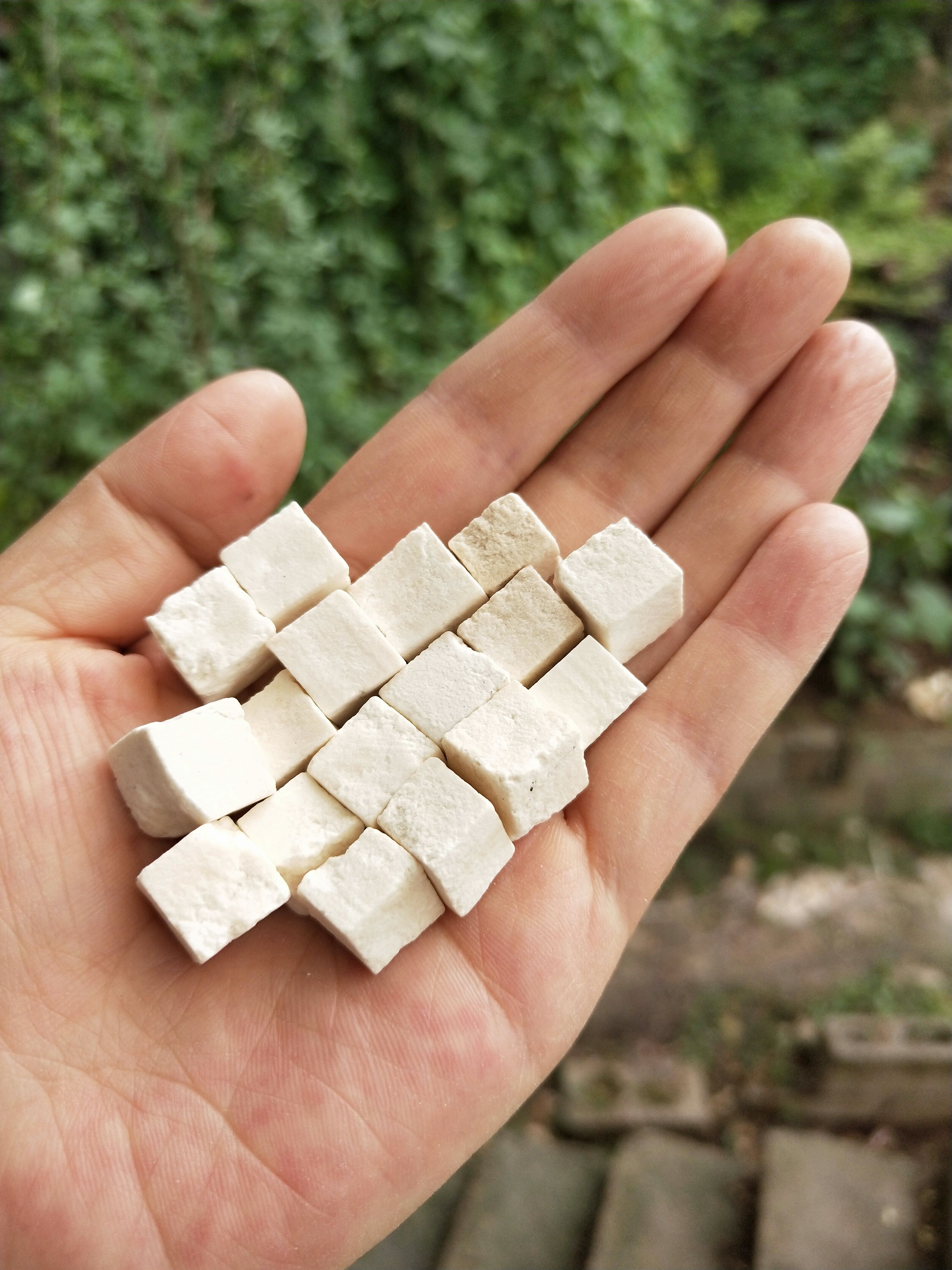 茯苓白茯苓精选苓无苓松祛湿丁精选中药材野生神农架茯苓