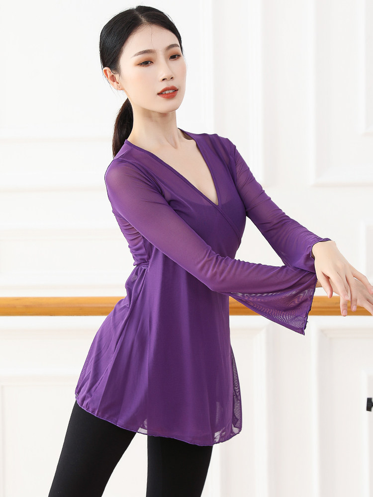 古风舞蹈人网大人飘逸练功成人风中上衣韵纱古典舞服