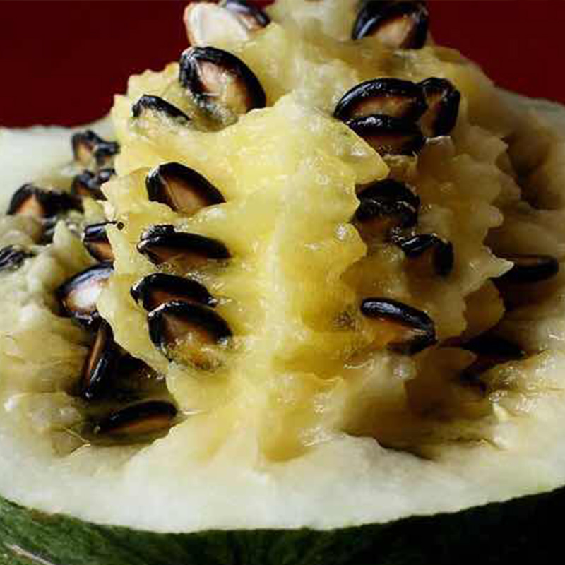 冠王打瓜种子大片瓜子瓜产西瓜南瓜种籽春夏季家庭园艺种子