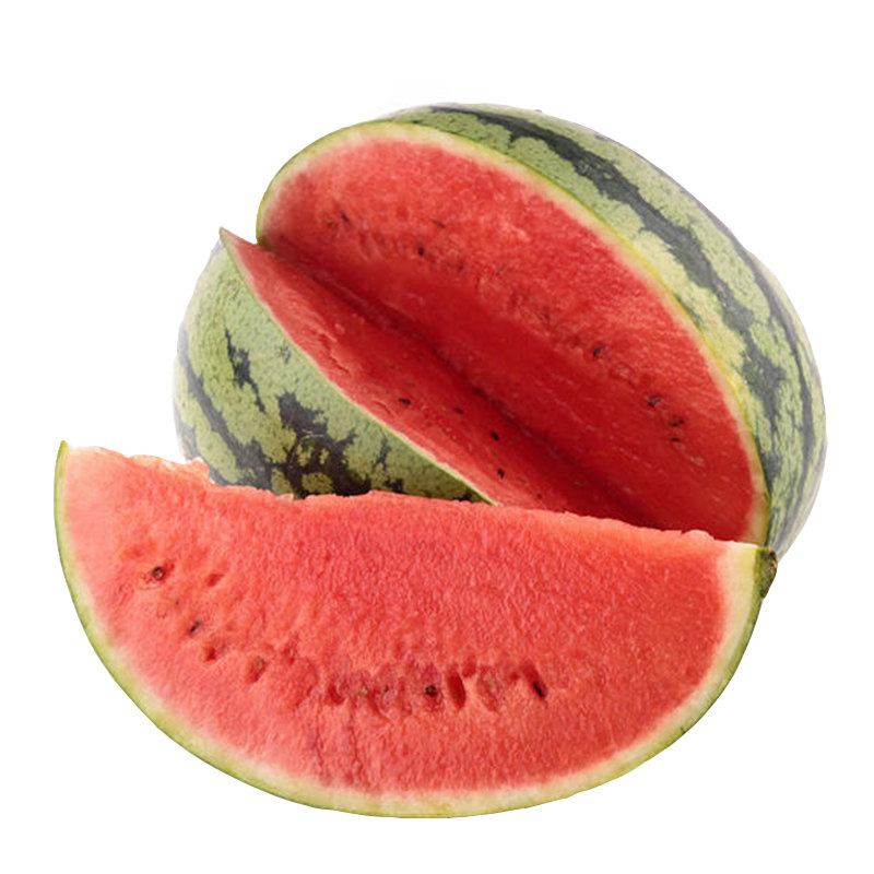 日本早春红玉小西瓜种子大全抗病四季播甜小种家庭园艺种子