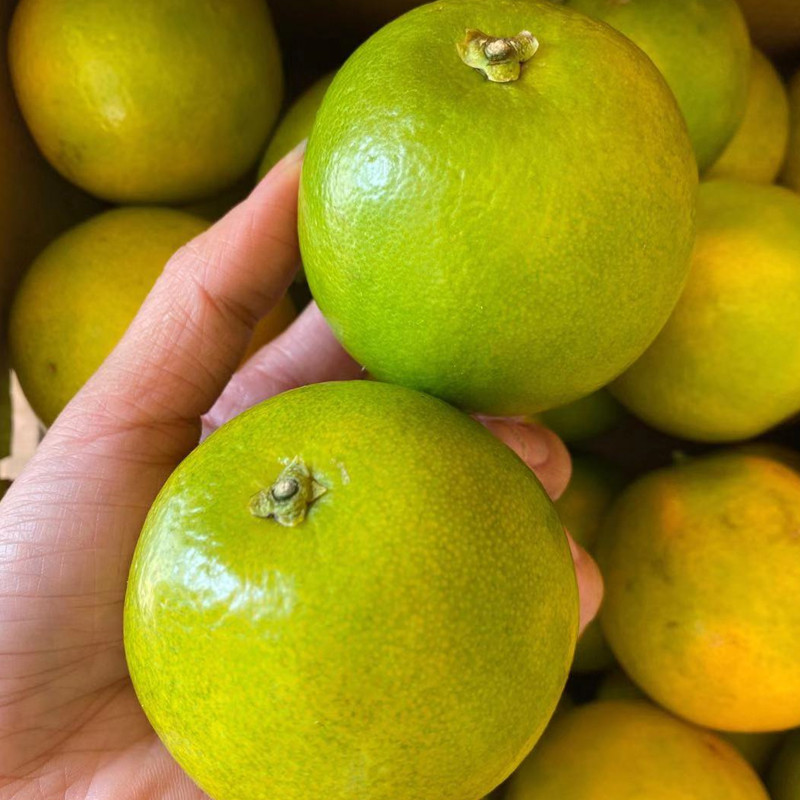 高原冰糖水果新鲜时令牢山果哀特级玉溪王子橙橙