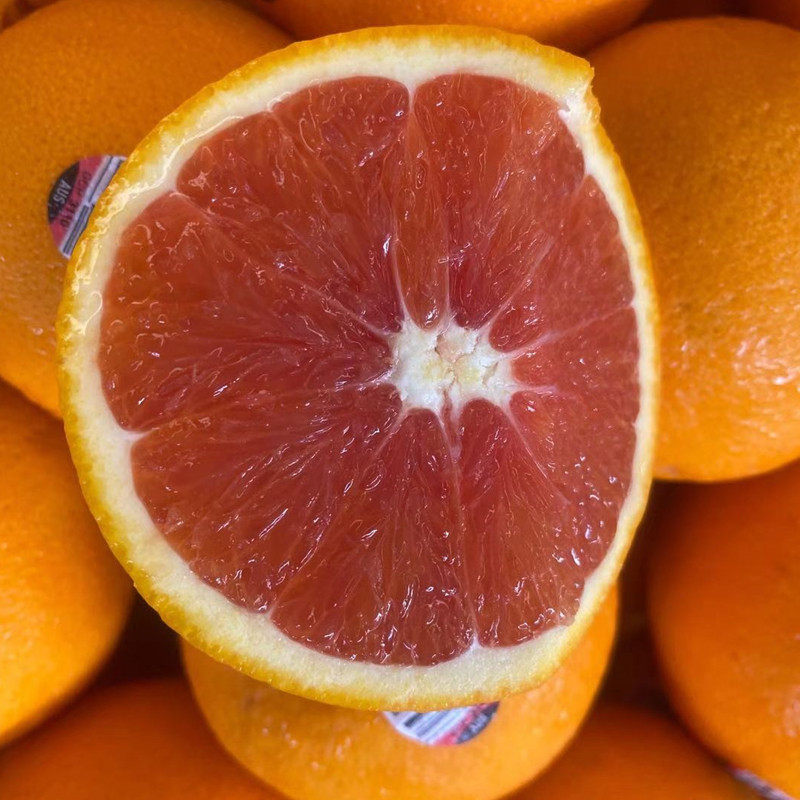 澳洲新奇士血橙进口口红肉橙3110红心新鲜甜橙橙