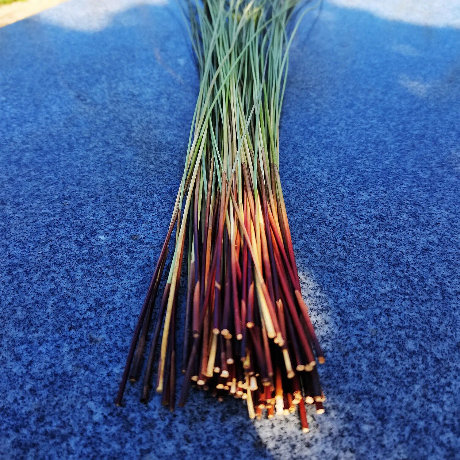 草根灯心中药材干品灯芯草龙须草虎须草席灯草其他药食同源食品