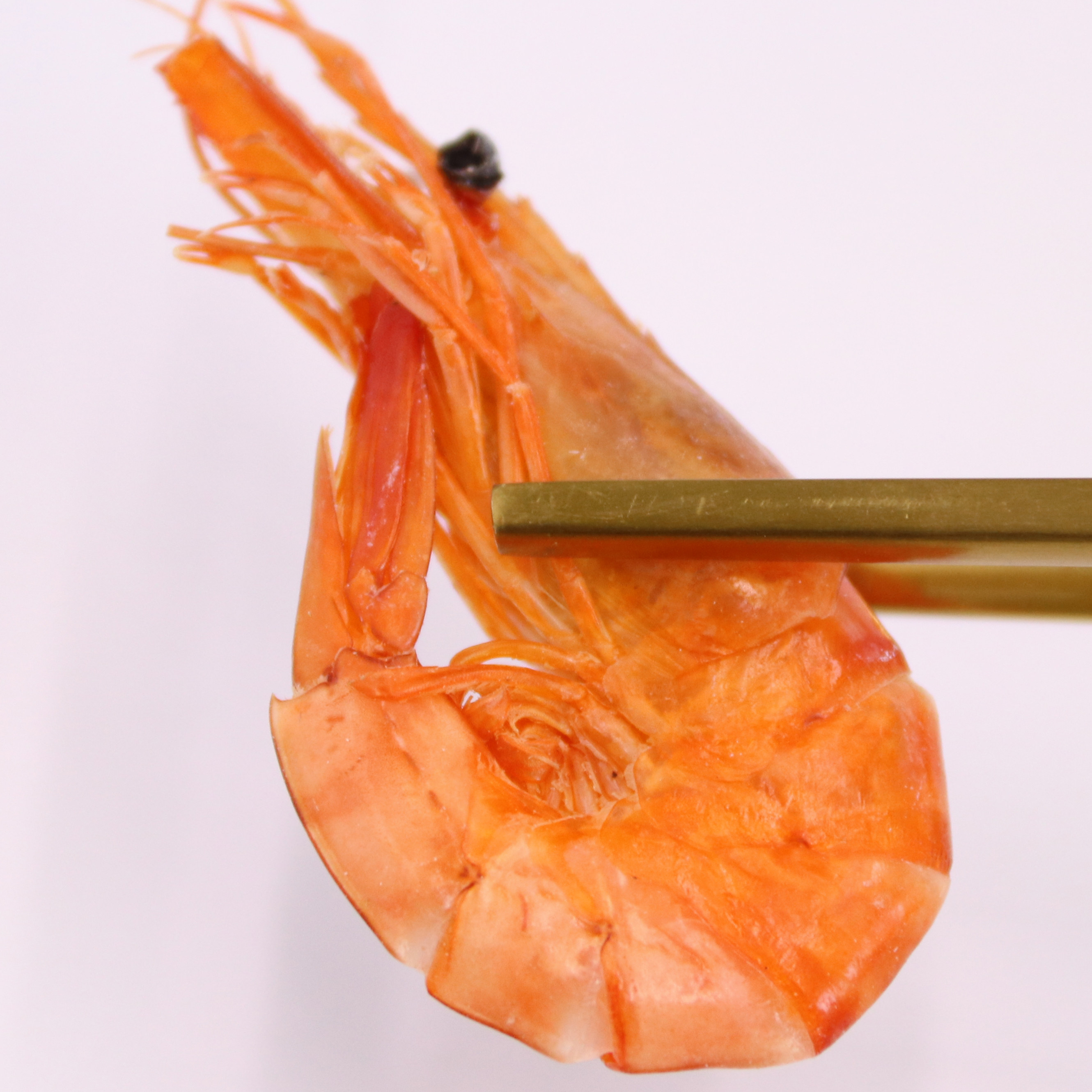 中号对虾干淡晒虾台州特产新鲜干虾补钙250克虾干