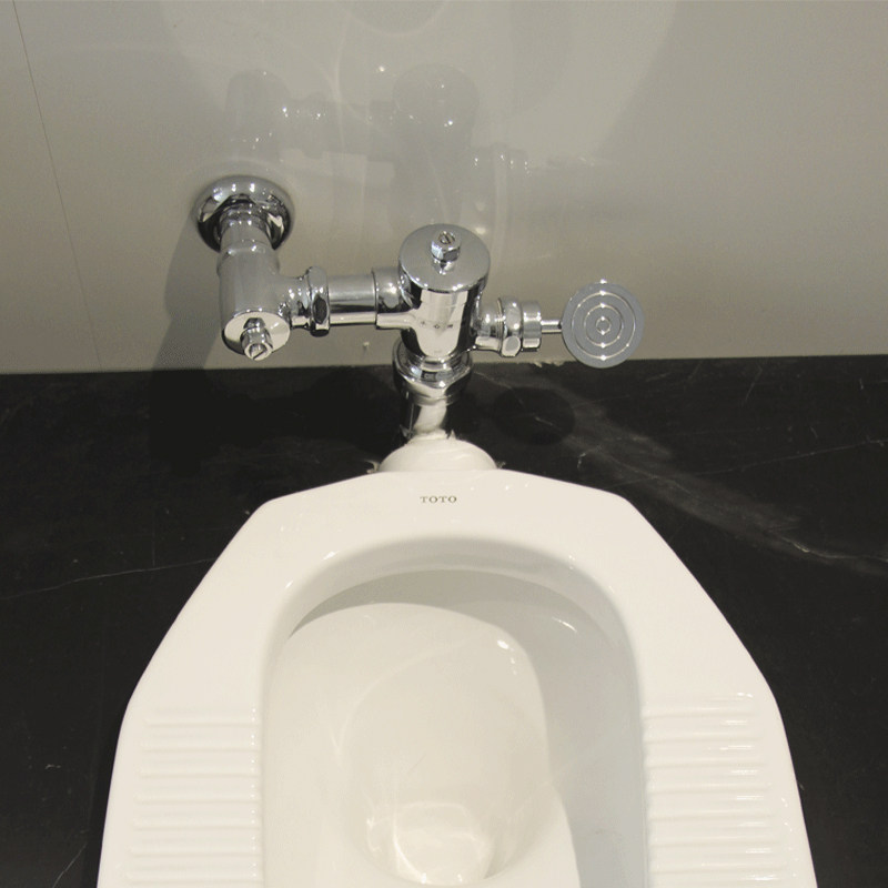 toto厕所洁具大便冲水阀冲洗阀手压阀dc603vlfr脚踏式大便阀现货