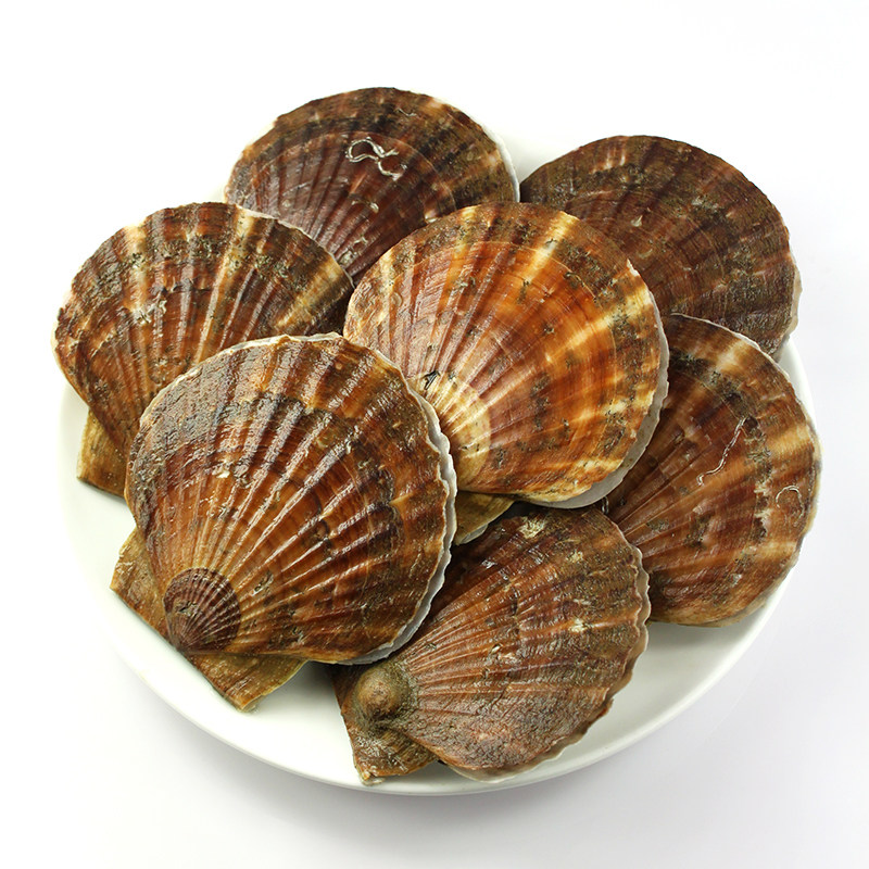 夏威夷粉丝蒸虾新鲜海鲜水产鲜活超大扇贝烧烤夏夷贝