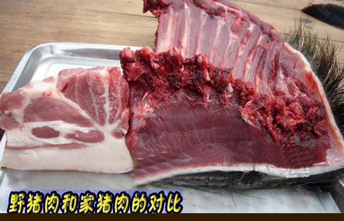 黑猪 新鲜现杀 野猪肉 野猪肉长白山 新鲜正宗野猪肉