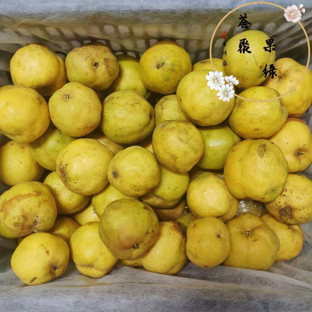 鸭广二级渣子疙瘩梨鸭儿广新鲜水果净重5斤梨