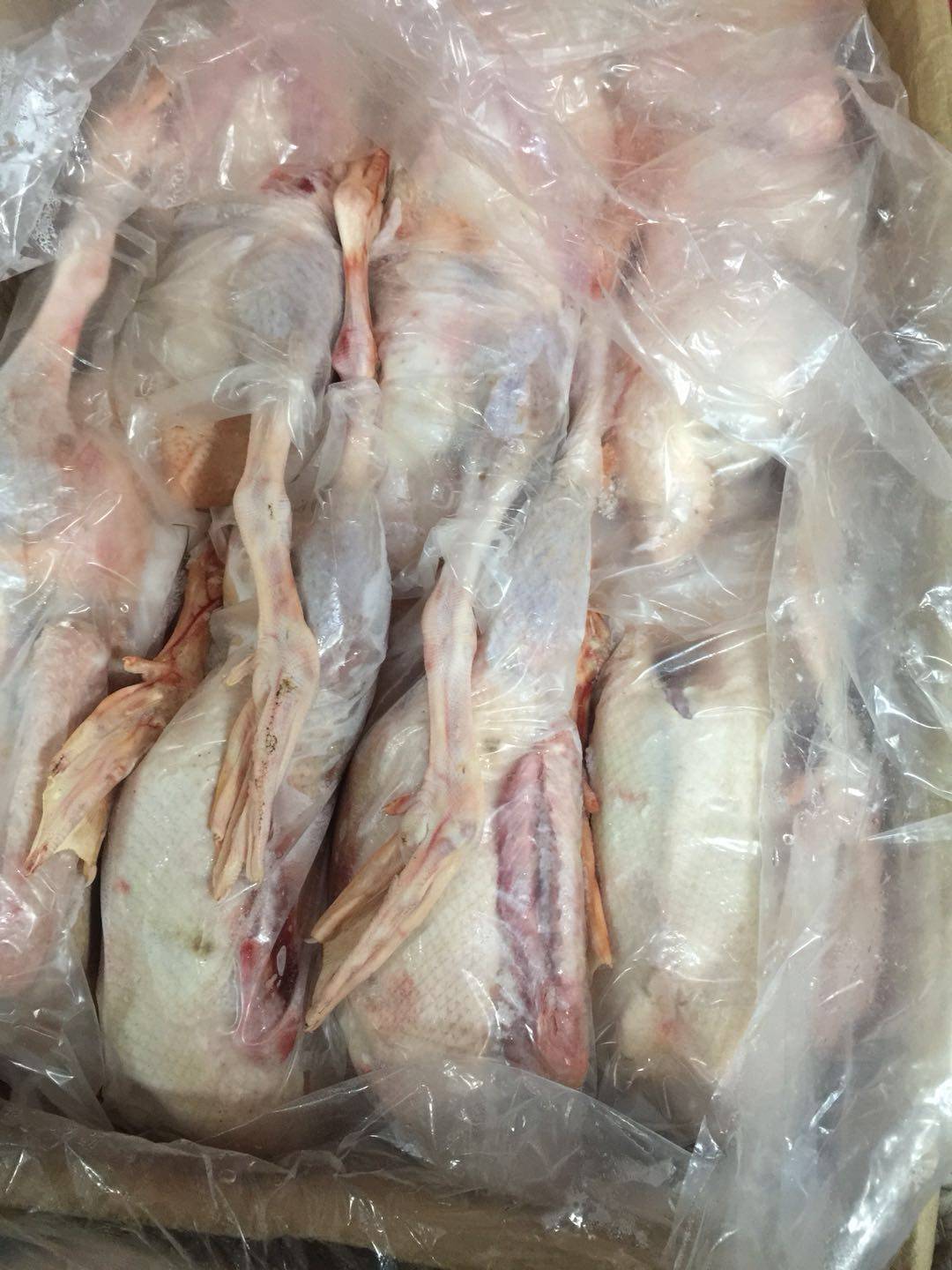 冷冻鹅大白条鹅肉风鹅土鹅烧鹅盐水鹅全39斤鹅肉