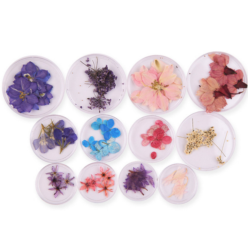 美甲干花饰品真花日系本全套混装指甲钻立体压花专用的贴纸小干花