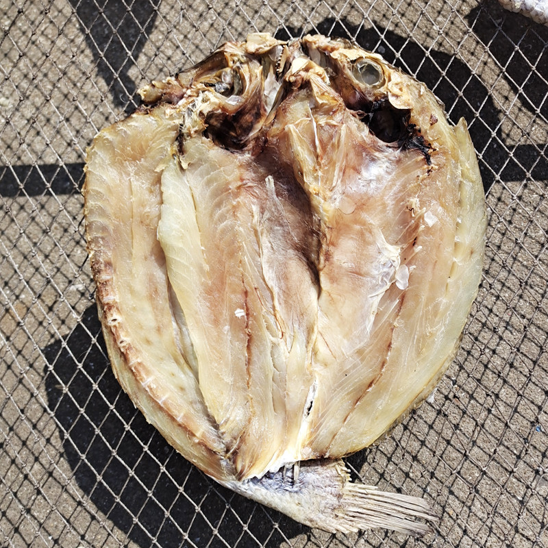 温州特产松门咸白咸鱼野生白鲞黄鱼鲞大黄花鱼鱼干