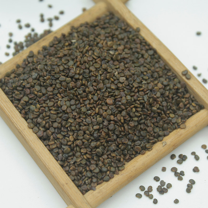 沙苑蒺藜中药材500g野生茶潼沙菀男性滋补正品其他药食同源食品