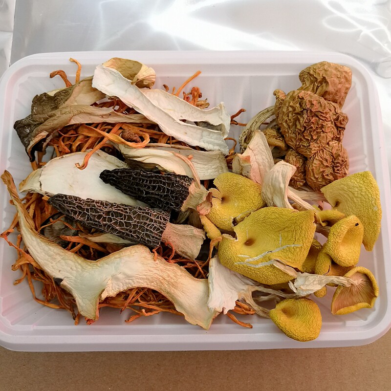 野生菌煲汤料云南特产50克羊肚菌松茸菌牛肝菌新鲜松茸