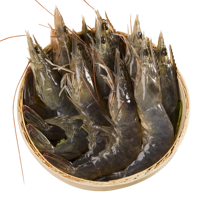 天香罗青岛大虾野生新鲜活虾海虾鲜活海鲜深海冰虾基围虾超大500g