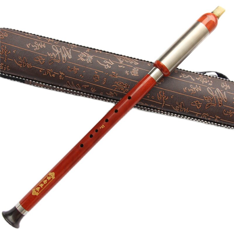 巴乌入门初学者专业成人儿童调竖乐器调降小学生巴乌