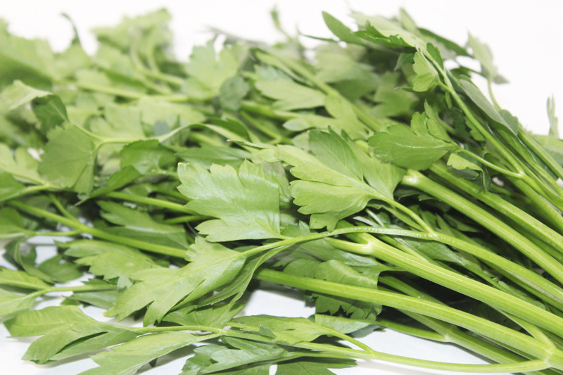 新鲜香芹番西荷兰欧芹西洋摆盘餐厅用料250g其它