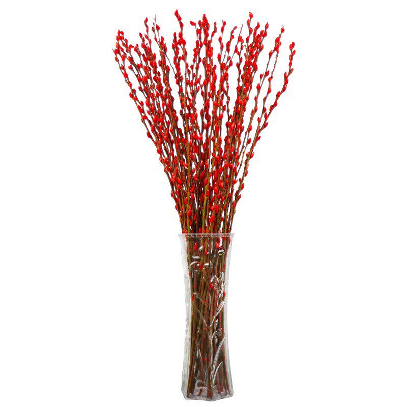 银柳干花室内装饰花束摆件客厅红色真花鲜枝春节干花