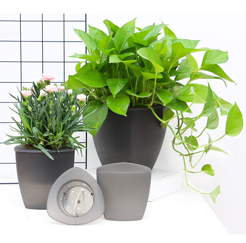 花盆三角形懒人吸水绿萝多肉可视水位半透明大号花盆