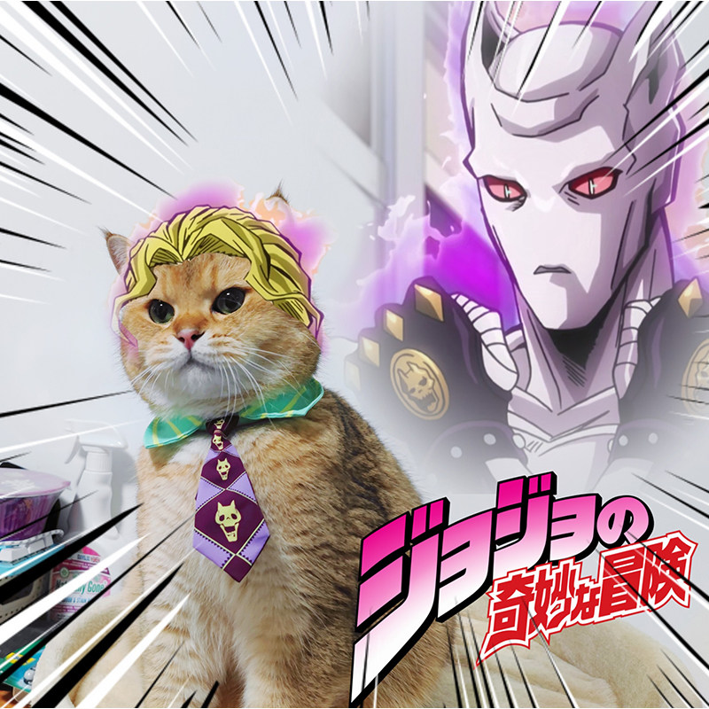 良吉猫咪领带jojo奇妙冒险宠物项圈小狗领结领结