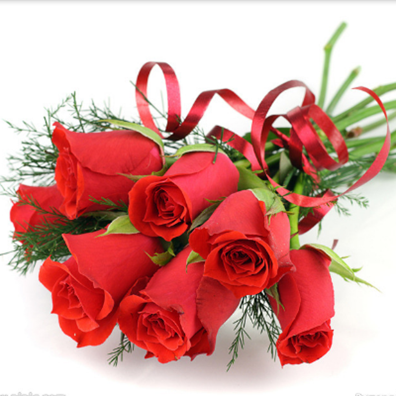 七夕杭州鲜花速递1朵蓝色妖姬单支红玫瑰花束同城女友鲜花速递同城