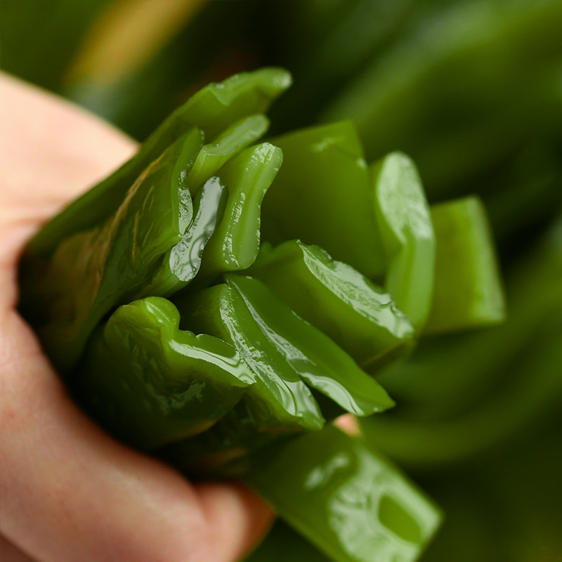 程媛海白菜新鲜裙带菜盐海带梗非干货野生海藻海带