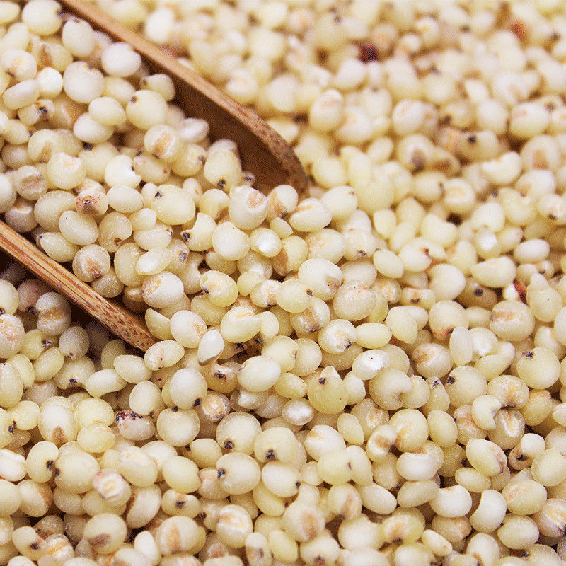 高粱米新高农家自产去皮白高粮红高粱五谷杂粮5斤包邮其它粮食