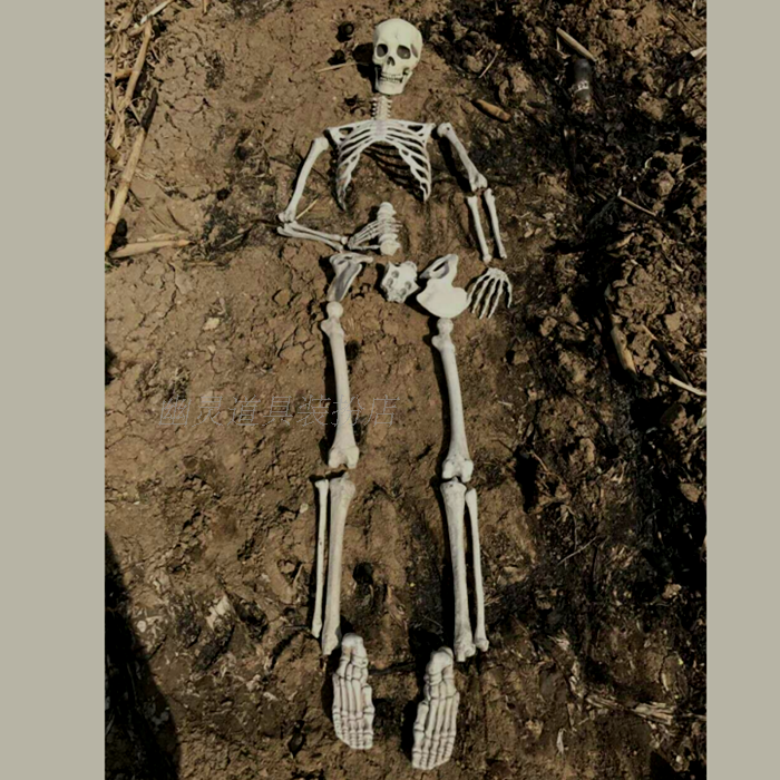 恐怖摄影道具仿真真人骨头摆件万圣节装饰鬼屋其它