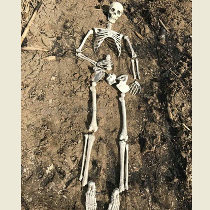 恐怖摄影道具仿真真人骨头摆件万圣节装饰鬼屋其它