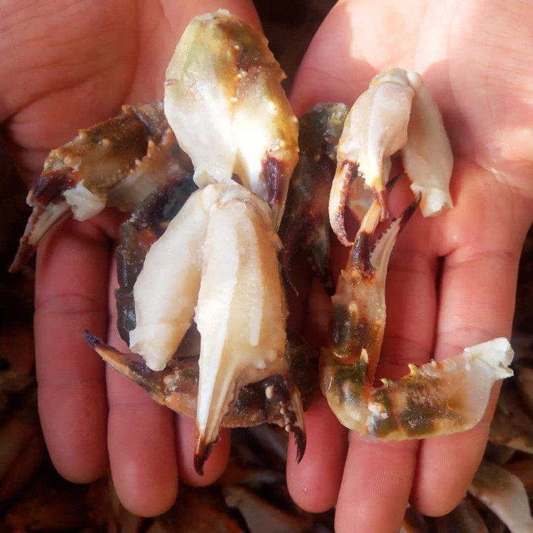 花盖丹东冷冻野生蟹钳深海石蟹脚赤甲红蟹腿蟹梭子蟹