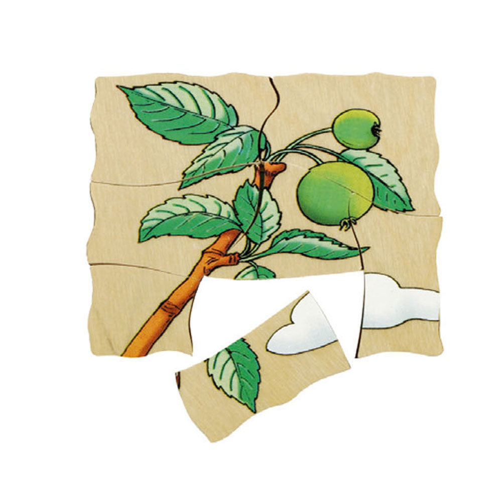 拼图植物生长过程益智玩具德国贝乐多五层苹果拼板拼图