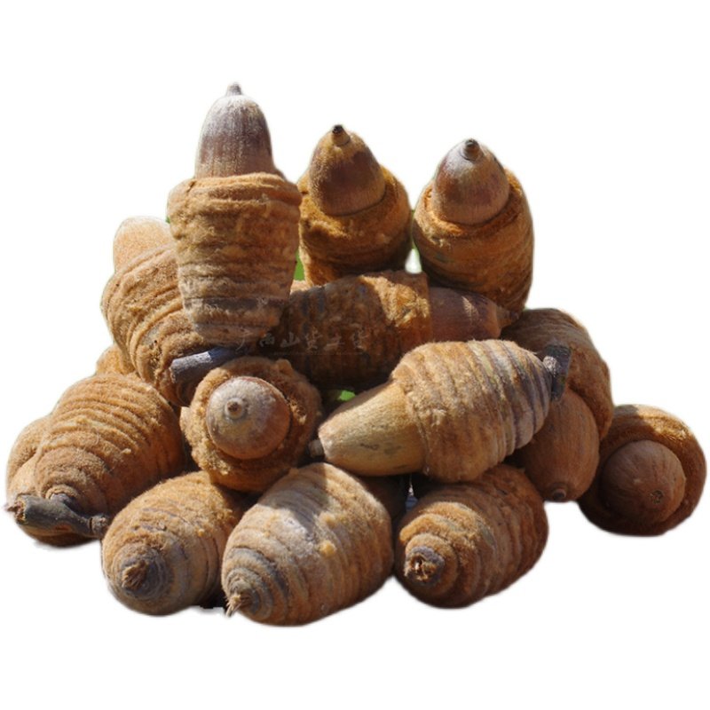 广西野生虎鞭果500g狗鞭毛毛男性滋补原材泡酒其他药食同源食品