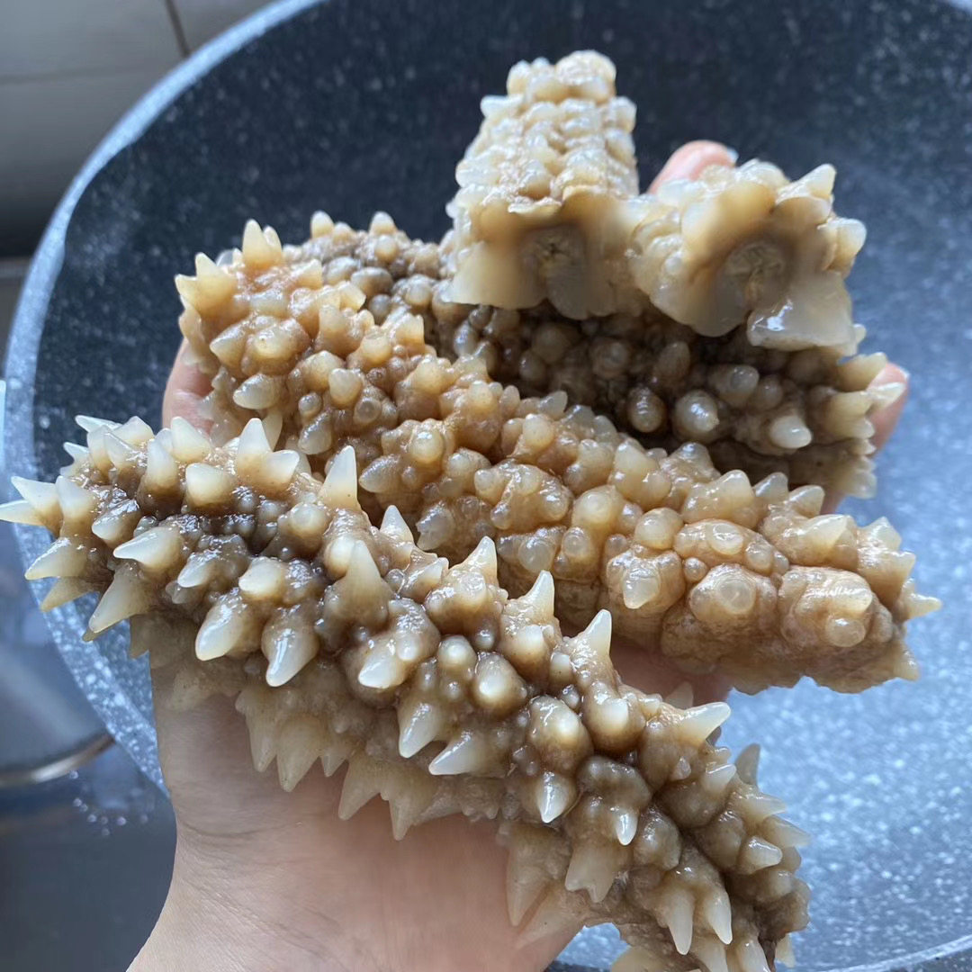 大连特级7-8年野生海参 辽刺参干货250g深海参纯淡干孕妇参礼盒装