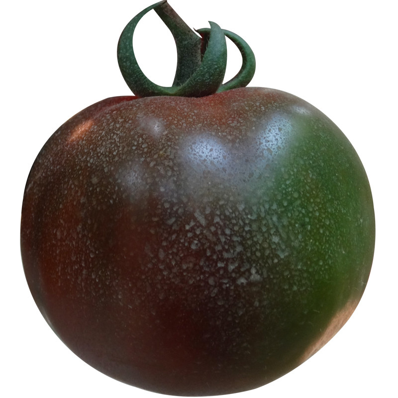 番茄进口黑美人大黑种子特色水果西红柿种籽特菜家庭园艺种子