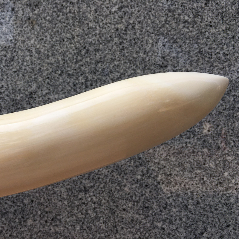 猛犸猛犸象象牙摆件原牙剥皮牙冰料素牙尖摆件