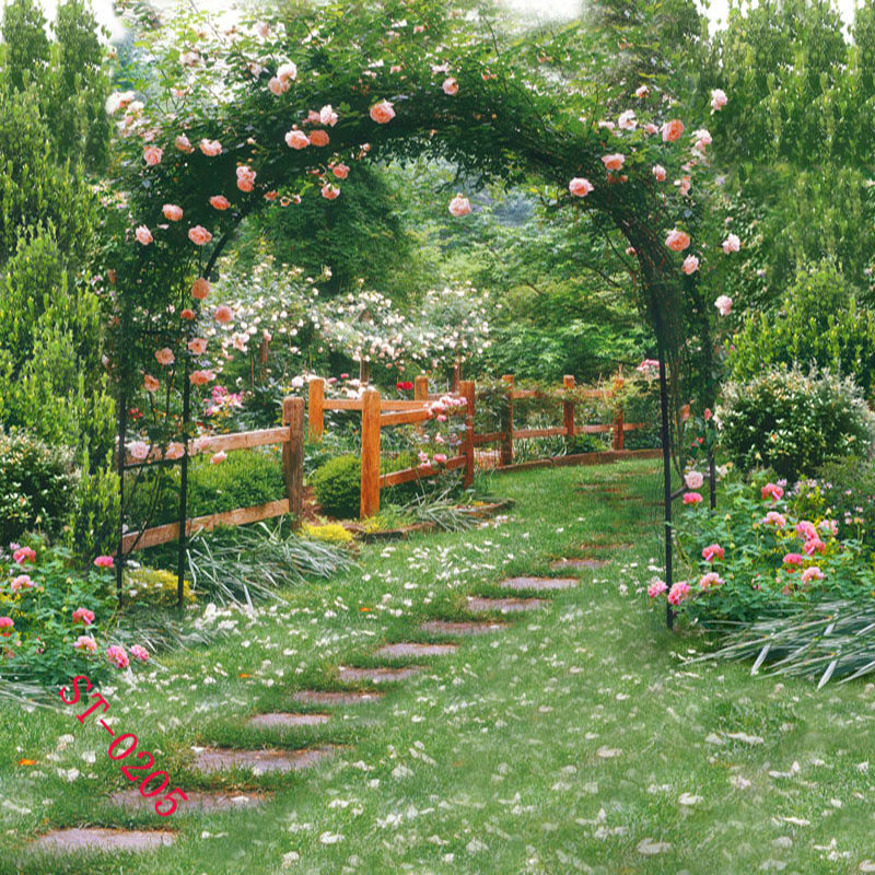 背景写真布海边绿树风景室外海边网络主播拍照背景布类