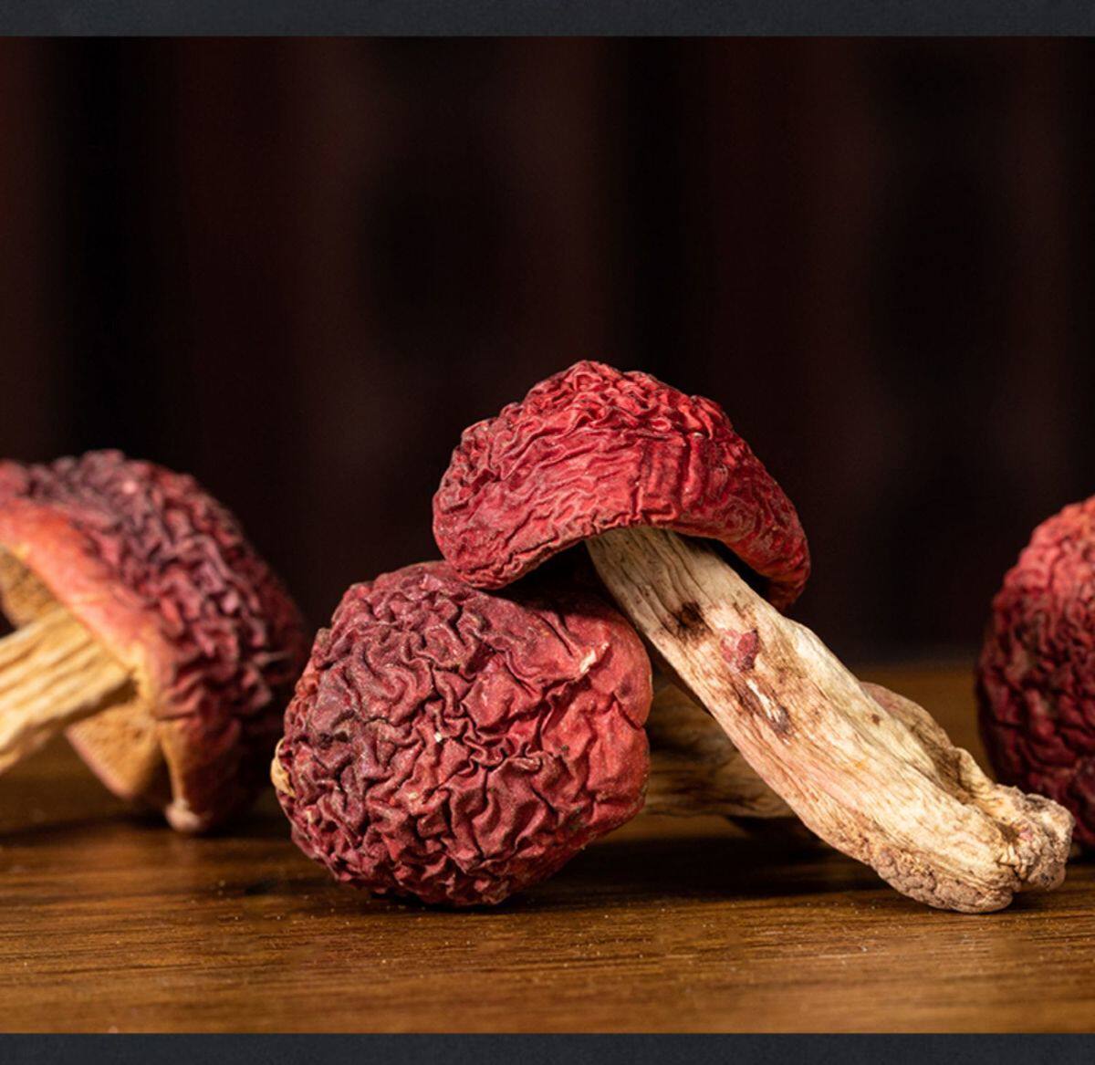 红菇干货福建龙岩红蘑菇红椎大红月子食用菌煲汤香菇类