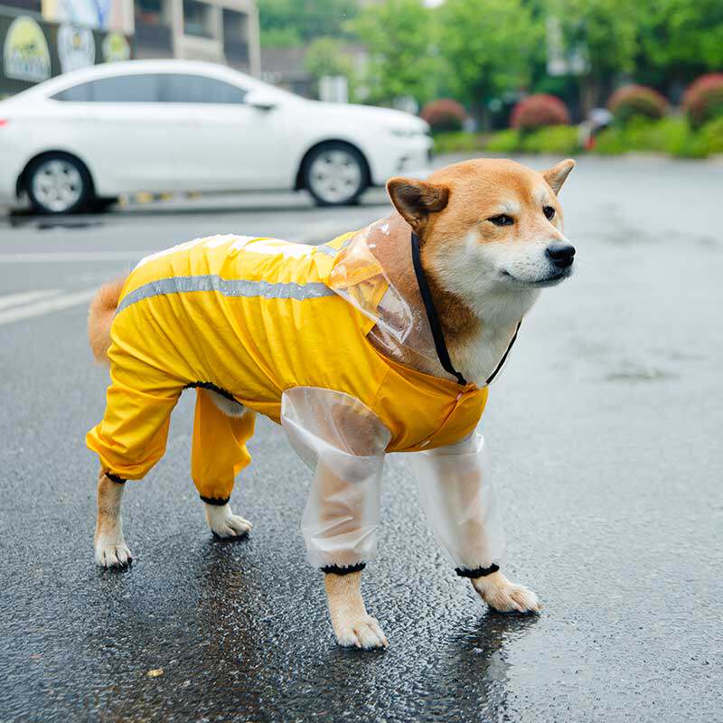 金毛狗狗雨衣四脚防水萨摩中型大型拉布拉多柴犬狗宠物服装