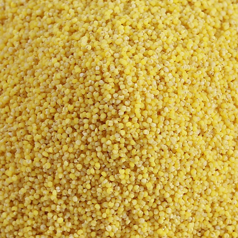 小米沁洲新米特产山西食物米粥小黄米脂粘糯小米