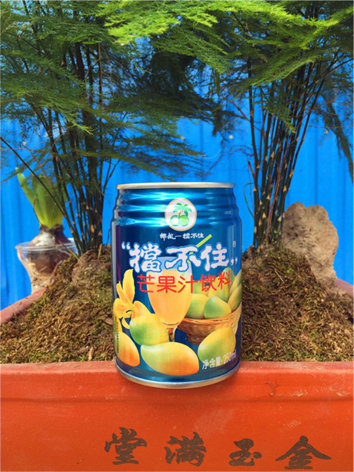椰风挡不住饮料天然芒果汁250ml*8罐,正宗天然.8罐全国包邮蓝挡