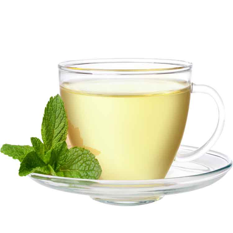 温州特产老蓝头五年野生南板蓝根低糖冲饮精致茶包每日一杯茶