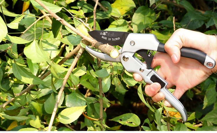 修剪树枝园林果树剪刀修枝剪粗枝剪大力剪省力园艺工具花剪大强力